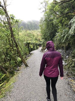 Franz Josef Glacier Valley hike