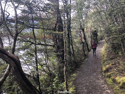 Hike Nelson Lakes