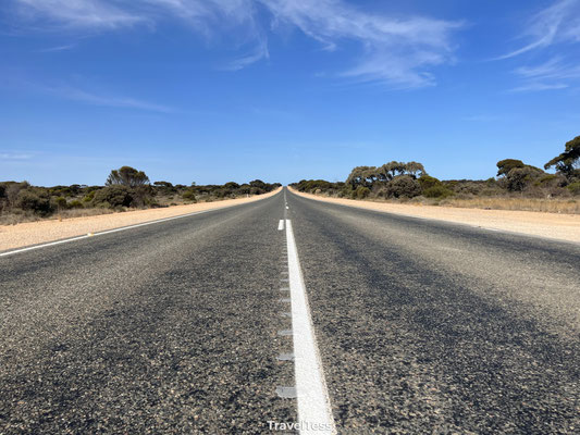Weg door de Nullarbor 