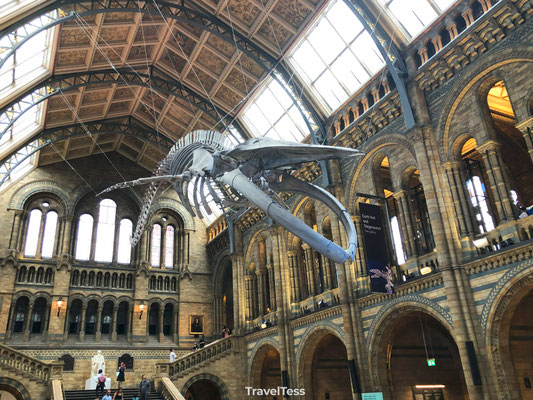 London Natural History Museum