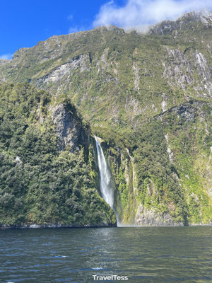 Boottocht Milford Sound
