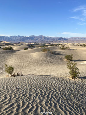 Mesquite Flat Sand Dunes