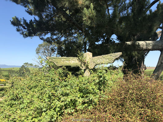 Hobbiton filmlocatie