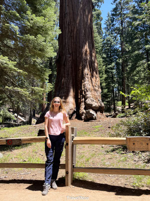 Sequoia National Park