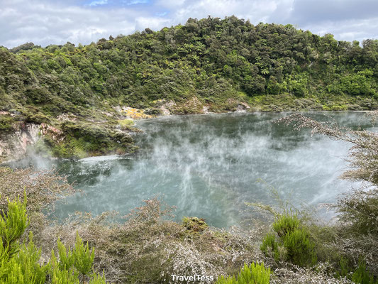 Waimangu Volcanic Valley