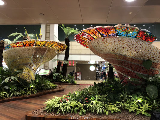Botanische tuin Singapore