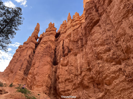 Navajo Loop