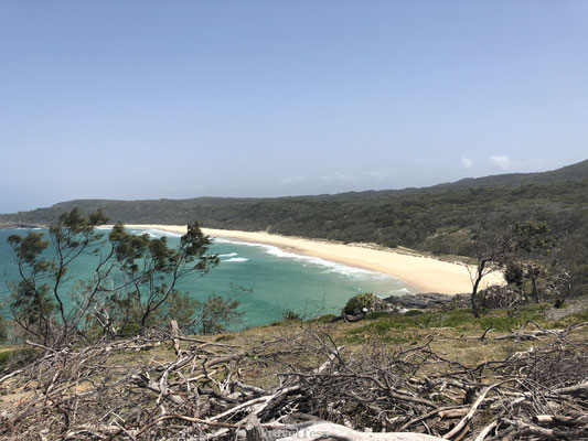 Sunshine Beach