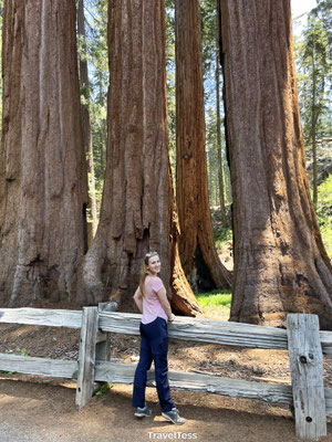 Sequoia National Park