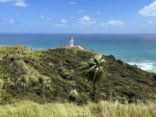 Cape Reinga bezoeken