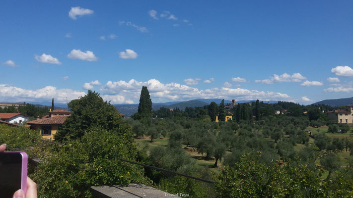 Groen gedeelte in Florence