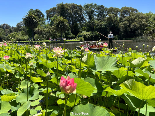 Botanische tuin Melbourne