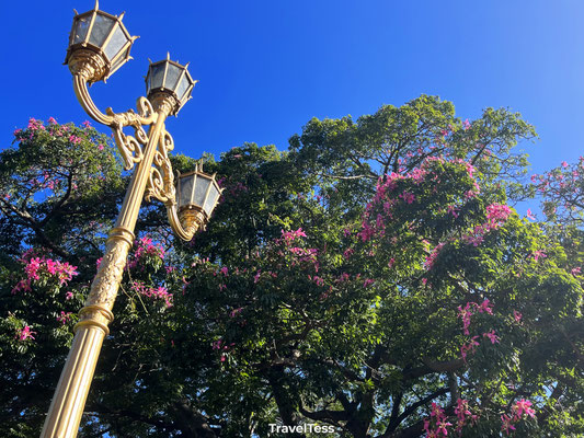 Park in Buenos Aires