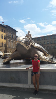 Gouden schildpad in Florence