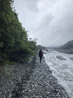 Waterstroom Franz Josef Glacier