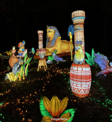 Light Safari