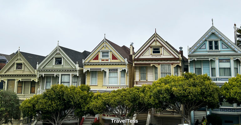 Painted Ladies