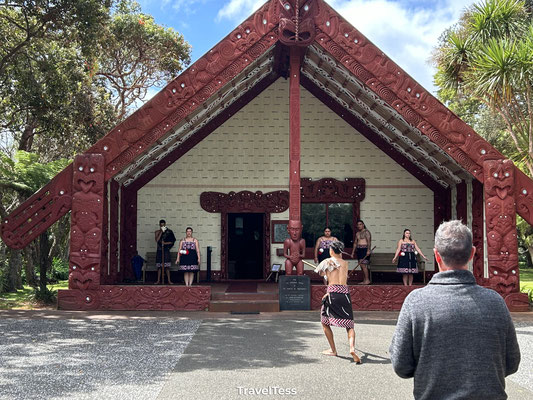 Maori show in Waitangi