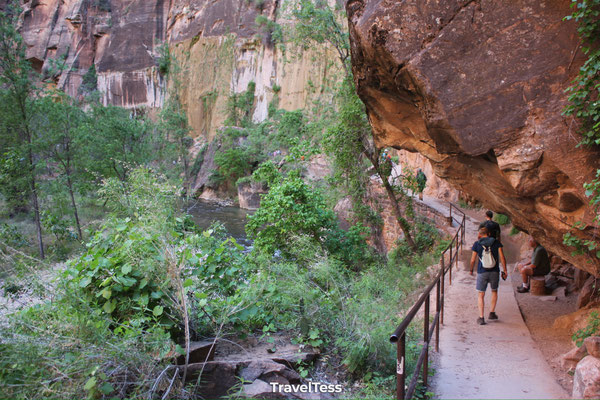 Canyon Overlook Trail