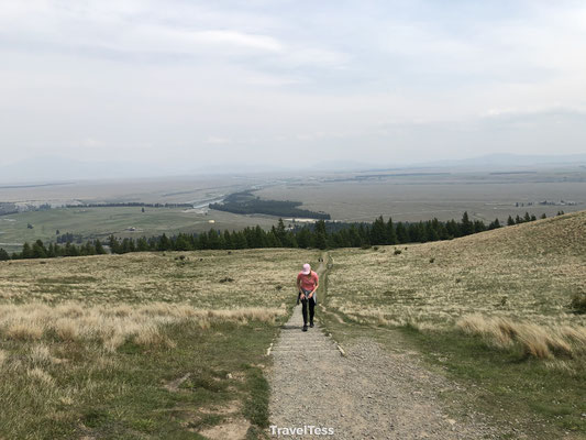 Mount John Walk