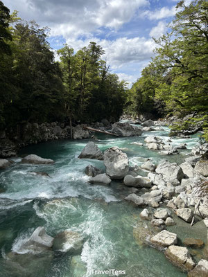 Rivier in Fiordland National Park