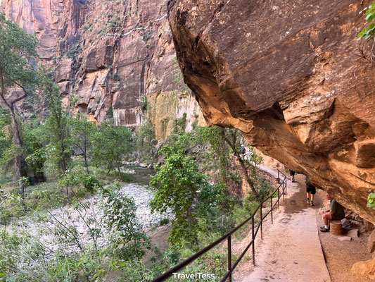 Canyon Overlook Trail