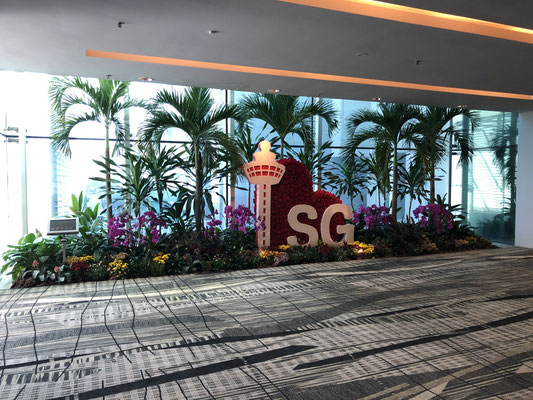 Vliegveld Singapore