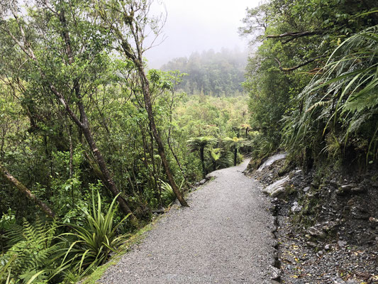 Franz Josef Glacier hike