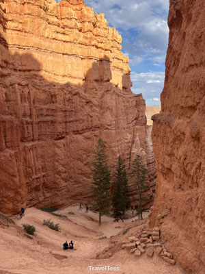 Navajo Loop Trail