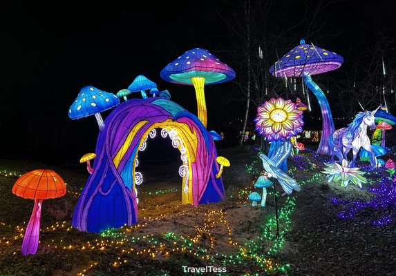 Light Safari