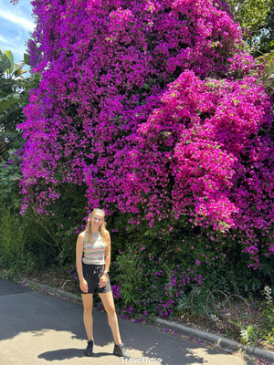 Botanische tuin Melbourne