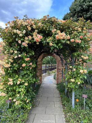 Royal Tasmanian Botanical Gardens