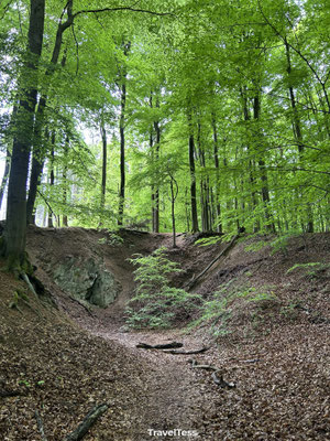 Eifel National Park