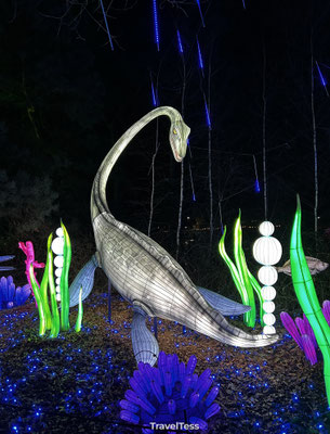 Dino's in Light Safari