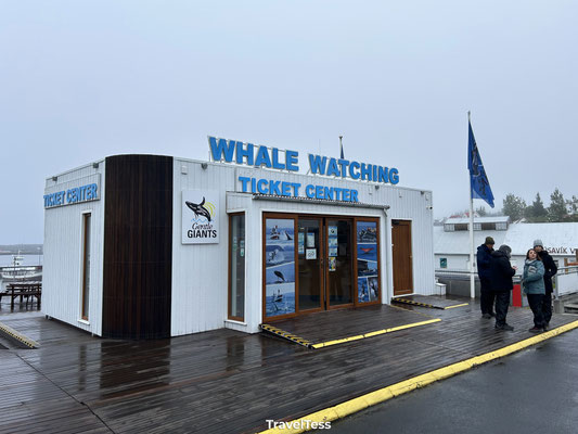 Gentle Giants Whale Watching