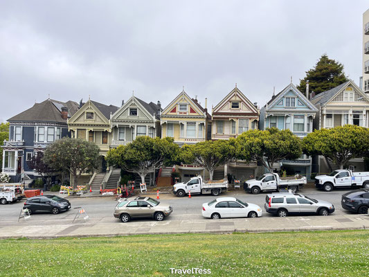 Painted Ladies