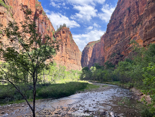 Riverside Walk in Zion