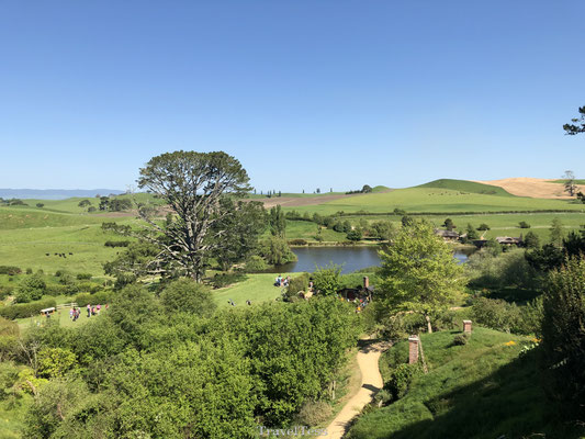 Hobbiton in Matamata