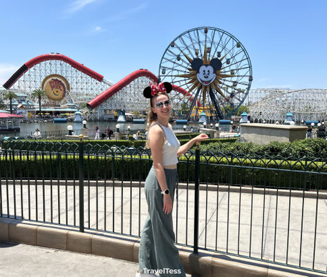 Disney California Adventure Park