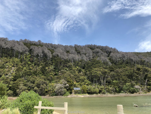 Bebossing Abel Tasman National Park