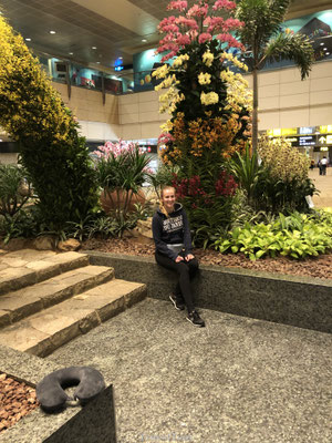 Singapore vliegveld