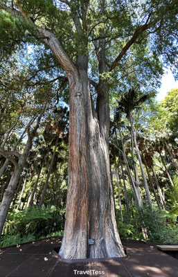 Botanische tuin Melbourne