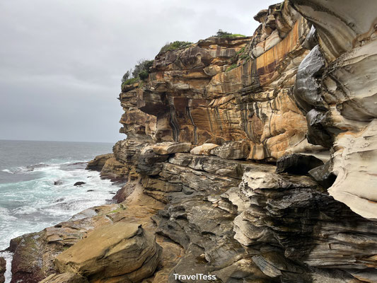 Bondi to Coogee Walk
