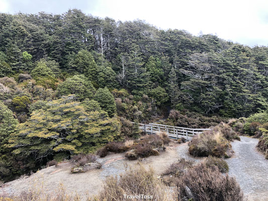Taranaki Falls Hike