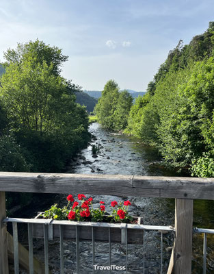 Rivier in het Zwarte Woud
