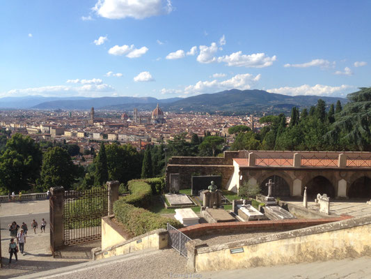 Uitzicht Florence