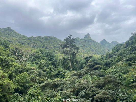 Cat Ba Island