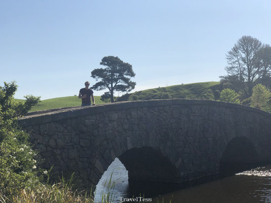 Brug in de Gouw