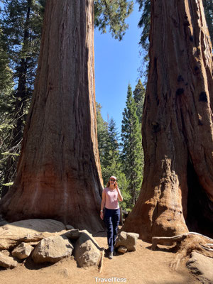 Sequoia National Park