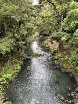 Wandeling naar Whangarei Falls